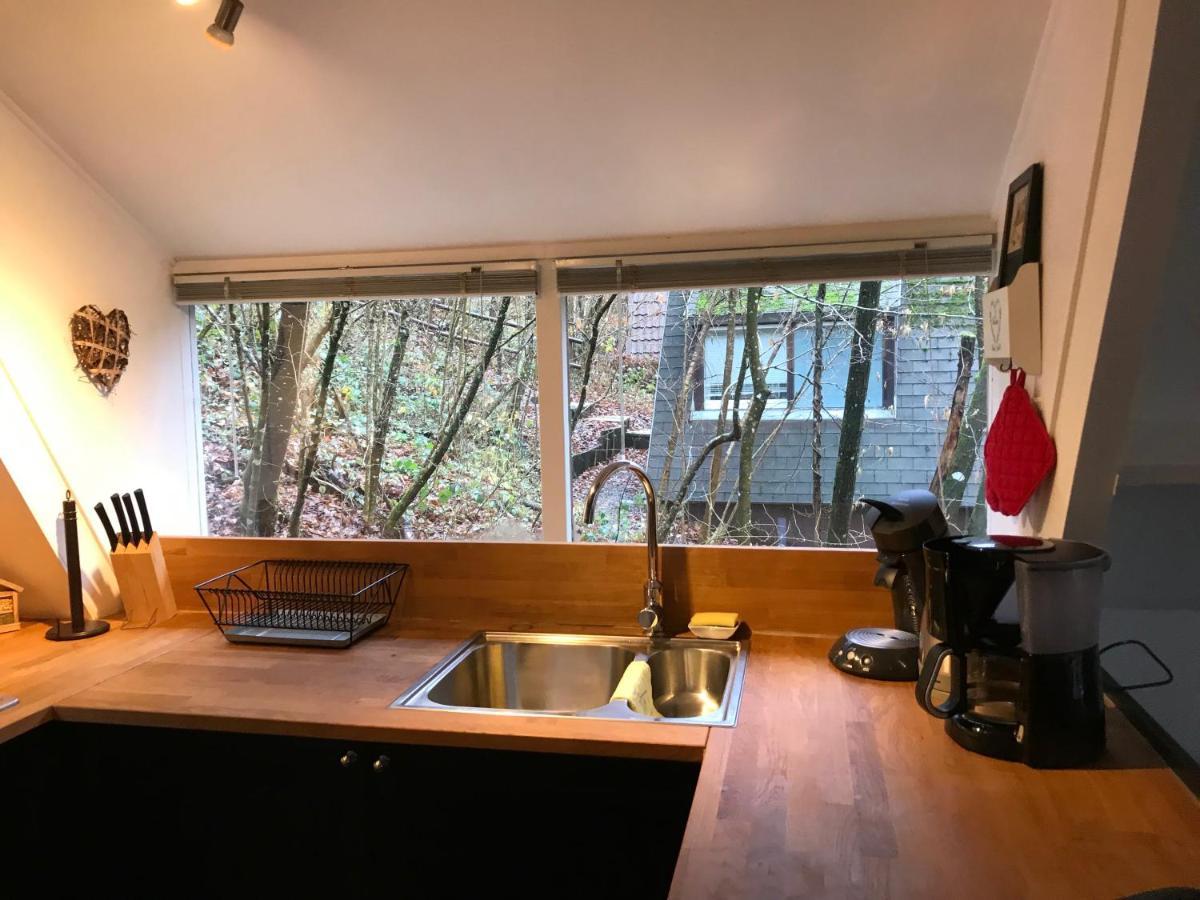 Heavenly Renovated Cabin Near Pittoresque Durbuy - Whistler Vila Exterior foto